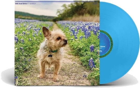 Shit Shine 0 Aa Riot Vinyl