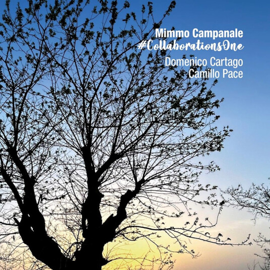 Mimmo trio campanale Collaborationsone CD