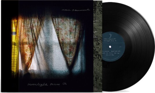 Attic Abasement Moonlight Passes On Vinyl Attic Abasement Moonlight Passes On Vinyl