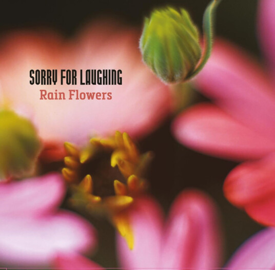Sorry For Laughing Rain Flowers CD