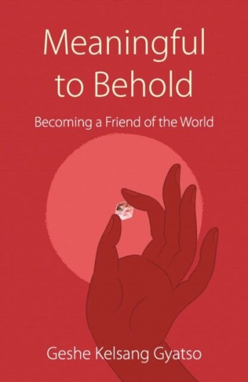 Meaningful to Behold  Becoming a Friend of the World