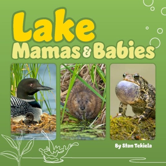 Lake Mamas And Babies Av Stan Tekiela