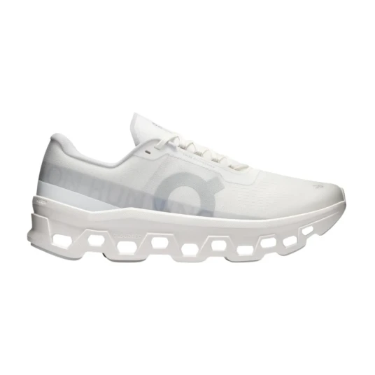 On Running, Herre, Sko, Hvit, 40 EU,