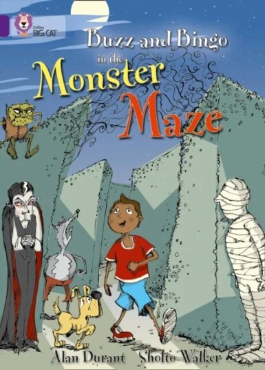 Buzz And Bingo In The Monster Maze Av Alan Durant