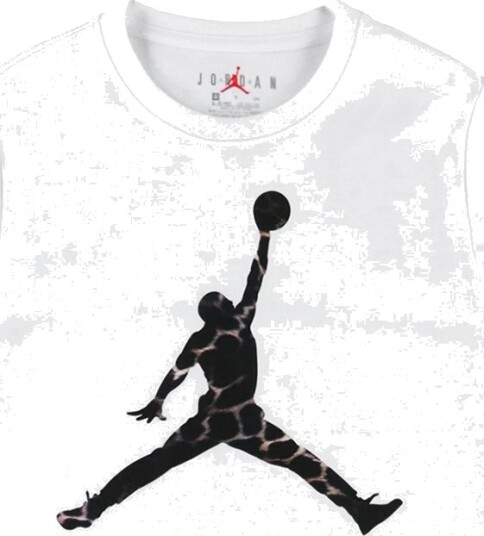 Jordan T skjorte Hvit m. Logo Jordan 10 12 år 140 152 T skjorte Svart