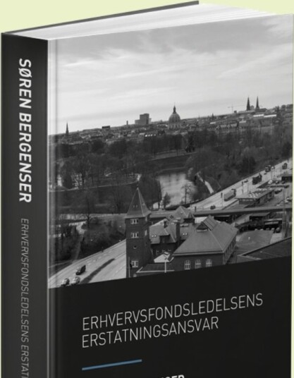 Erstatningsansvar For Ledelsen I Erhvervsfondet | Søren Bergenser | Språk: Dansk