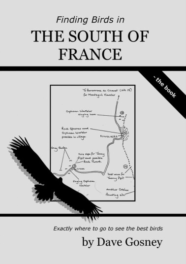Finding Birds in the South of France Finding Birds in the South of France