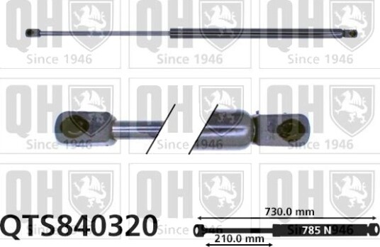 QUINTON HAZELL QTS840320 Baklukedemper