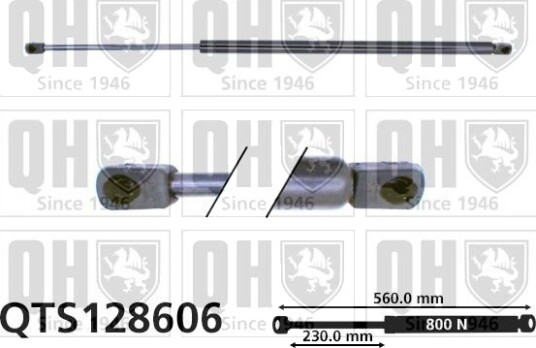 QUINTON HAZELL QTS128606 Baklukedemper