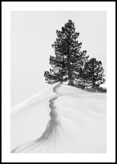 About the snow and forms Poster Plakat / 30x40cm About the snow and forms Poster Plakat / 30x40cm
