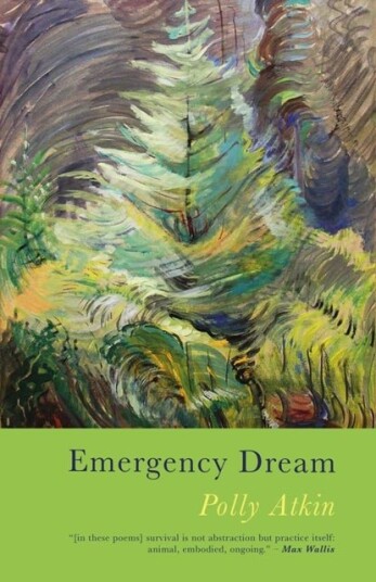 Emergency Dream Emergency Dream