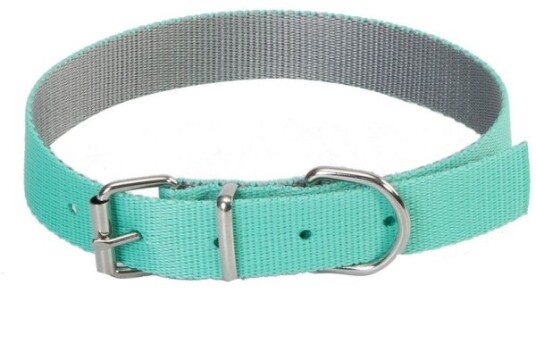 Dingo Collar Energy Silver Mint 2,5 55Cm
