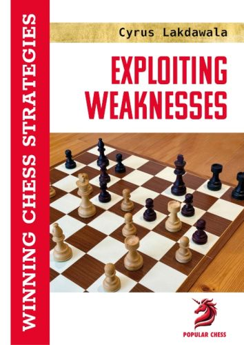 Exploiting Weaknesses [INNBUNDET]