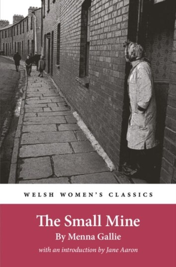 The Small Mine The Small Mine