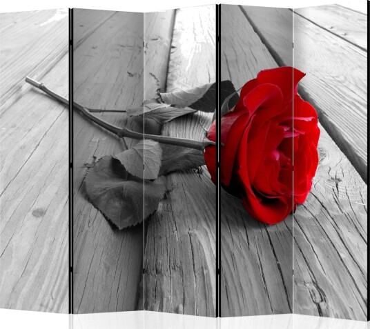 Romdeler - Abandoned Rose II 225x172 - Artgeist sp. z o. o.