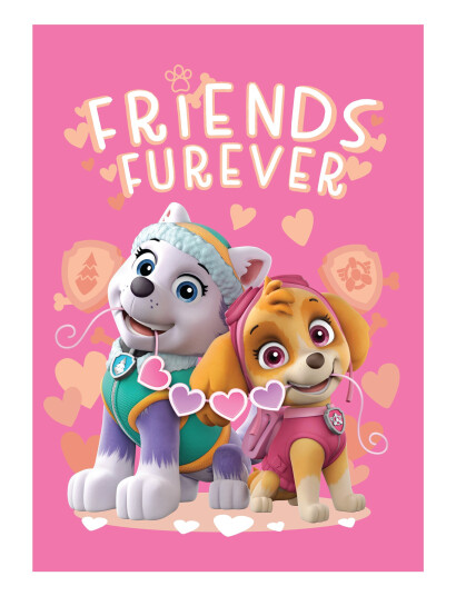 BrandMac Fleece Paw Patrol - Pp 1056 - 100X140 Cm - Multi/patterned - 100X140CM