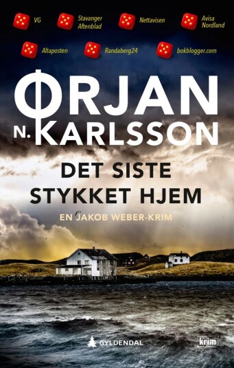 Det siste stykket hjem av Ørjan N. Karlsson