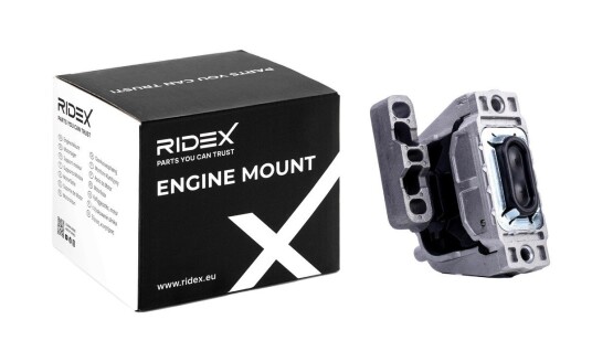 Motorfeste RIDEX 247E0613