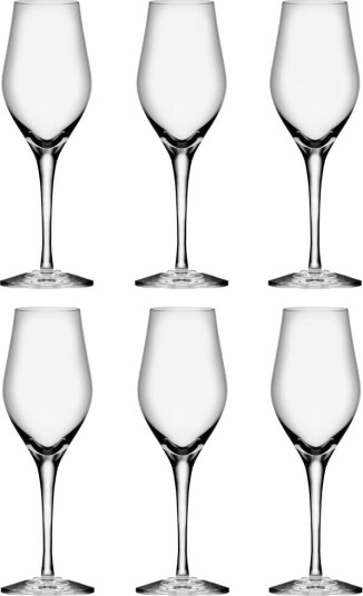 Orrefors Sense champagneglass 25,5 cl 6-pakning Klar