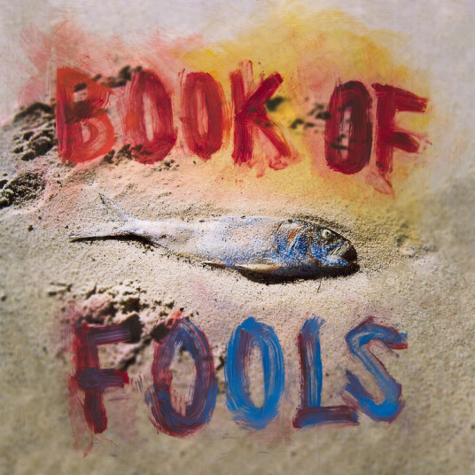 Book Of Fools Book Of Fools