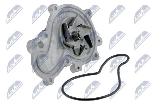 NTY CPW CH 015 Vannpumpe