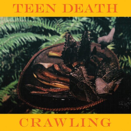 Teen Death Crawling LP/Vinyl Teen Death Crawling LP/Vinyl