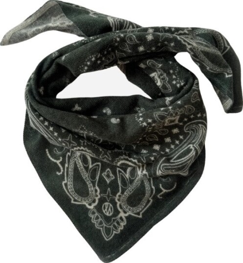 Le Scarf Paisley cashmere scarf OS grønn dame Le Scarf Paisley cashmere scarf OS grønn dame
