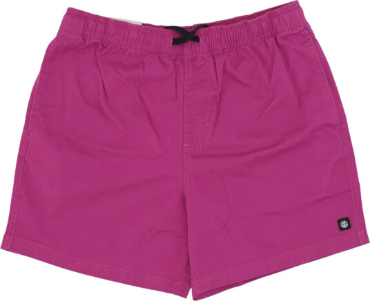 Element Herre Shorts Lilla M,