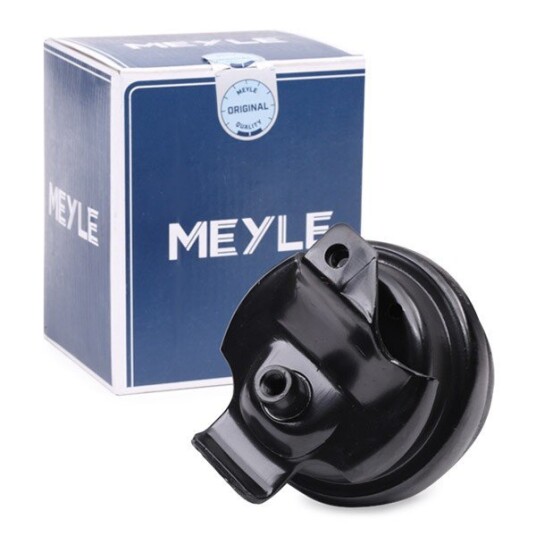 Motorfeste MEYLE 100 199 0003