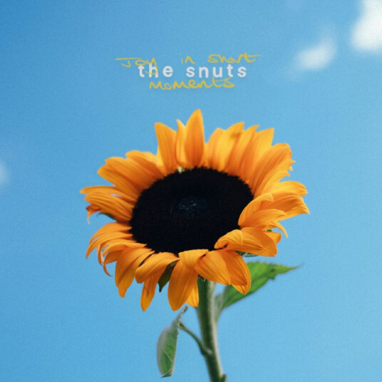 The Snuts Joy In Short Moments CD