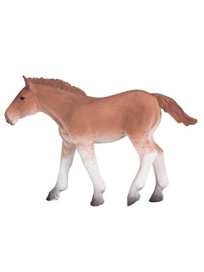Mojo   Horse World Suffolk Punch Foal