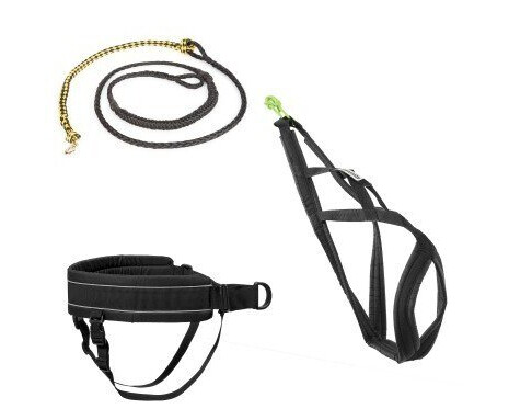 Kit Canicross Sort 0