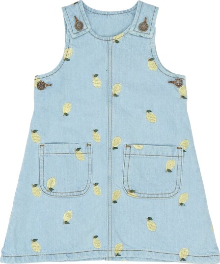 The New Tnstsaja S_L Denim Dress   Blue   104