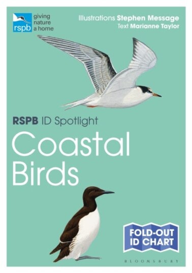 RSPB ID Spotlight  Coastal Birds