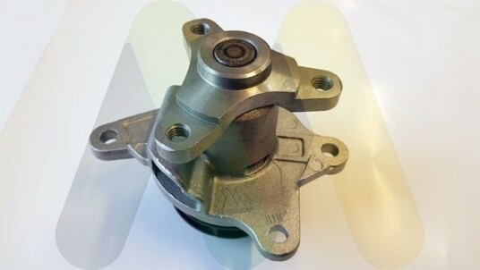 MOTAQUIP LVWP1030 Vannpumpe