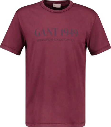 Gant | Graphic Ss T Shirt | S