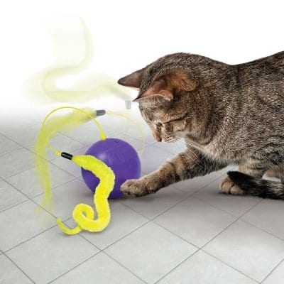 Kong cat purrsuit whirlwind