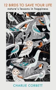 12 Birds To Save Your Life Av Charlie Corbett 12 Birds To Save Your Life Av Charlie Corbett