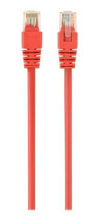 Gembird 50 cm Cat 5E Nettverkskabel RJ45 Rød