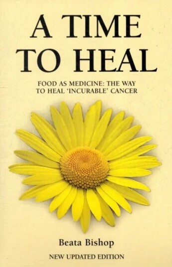 A Time To Heal Av Beata Bishop A Time To Heal Av Beata Bishop
