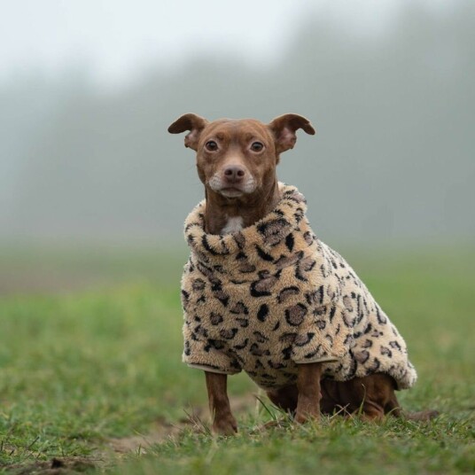 51 Degrees North Turtle Teddy Hundegenser Leopard 28 cm 51 Degrees North Turtle Teddy Hundegenser Leopard 28 cm