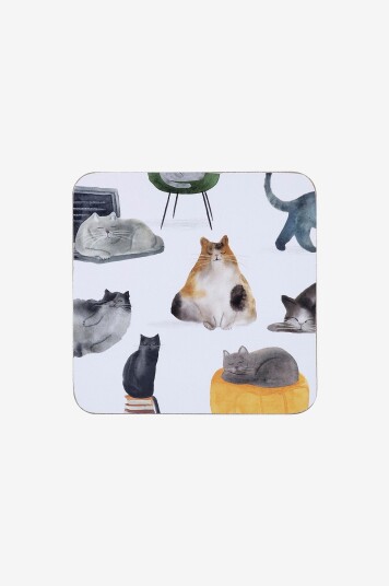 Maxwell & Williams   Coasters 4 p Cats   Flerfarget