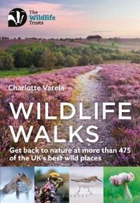 Wildlife Walks Av Charlotte Varela