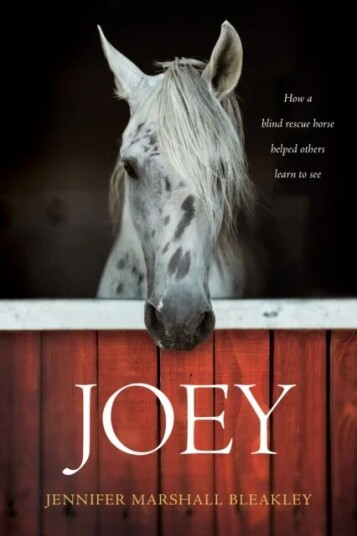 Joey av Jennifer Marshall Bleakley