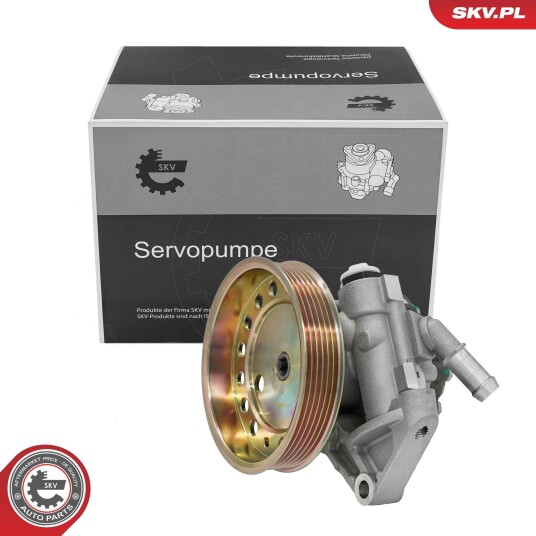 Servopumpe ESEN SKV 10SKV317