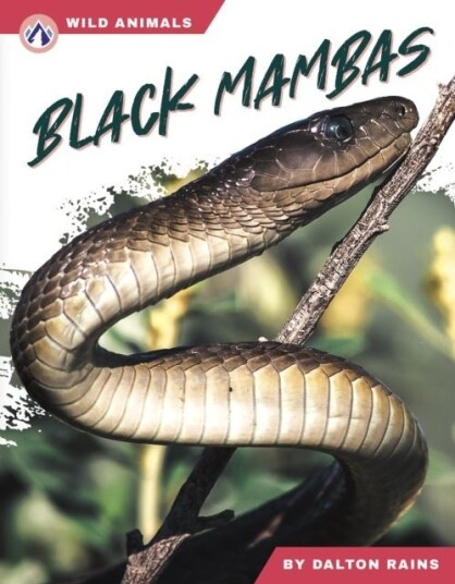 Black Mambas Black Mambas