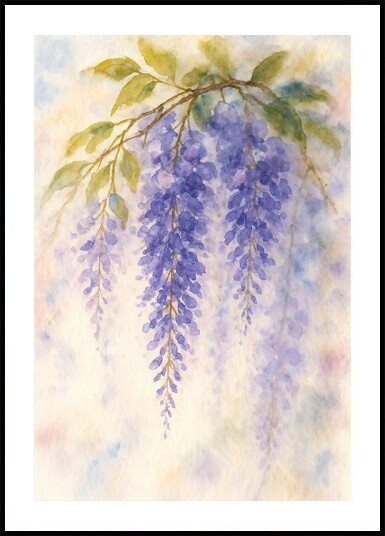 Hanging Wisteria In Soft Pastel Colours Plakat Plakat / 70x100cm Hanging Wisteria In Soft Pastel Colours Plakat Plakat / 70x100cm
