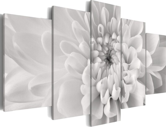 Bilde Dahlia Flower In Grey Shades 200x100 Artgeist sp. z o. o.