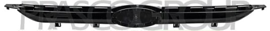 Radiatorgitter PRASCO FD6022031 Radiatorgitter PRASCO FD6022031