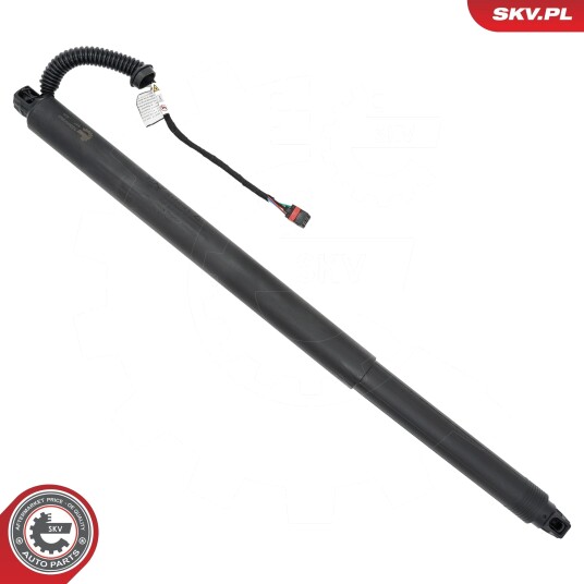 Elektromotor bakluke ESEN SKV 52SKV253